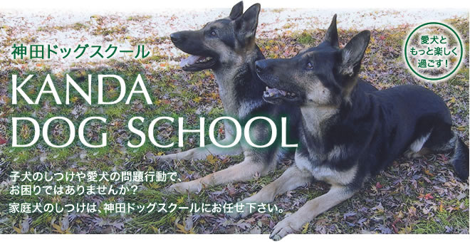 家庭犬のしつけは、神田ドッグスクールへ